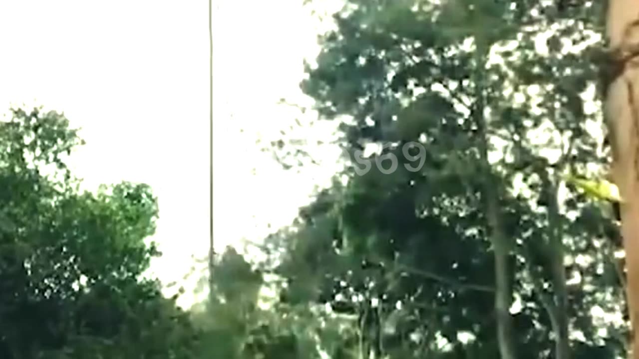 Big fails 😂😂😂