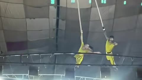 New Circus performance video 2025