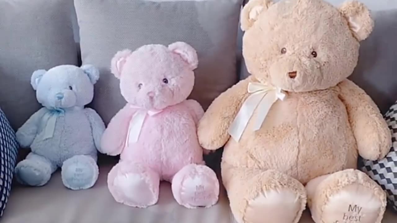 28cm And 36cm Teddy Bear