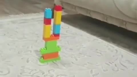 😂🔥 You Won't Believe How Angry These Birds Get! | FunFM