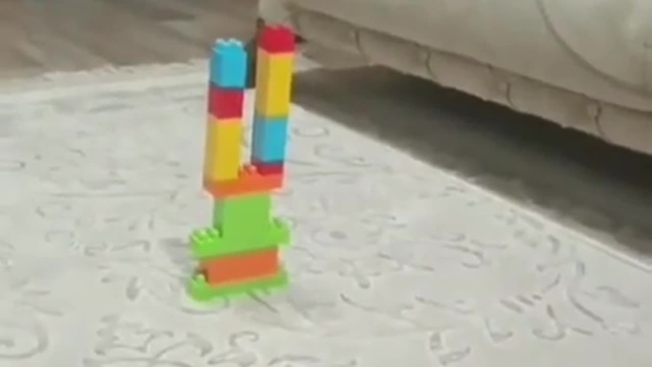 😂🔥 You Won't Believe How Angry These Birds Get! | FunFM