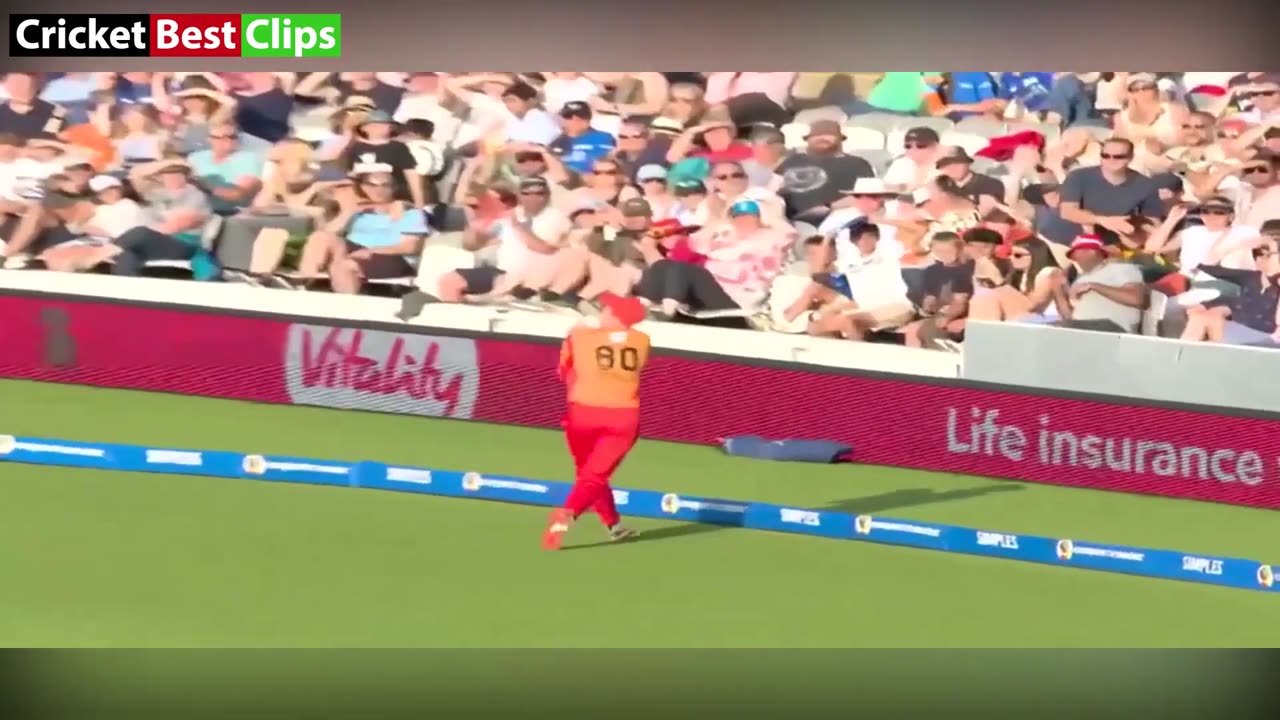 10 Amazing Cricket Catches