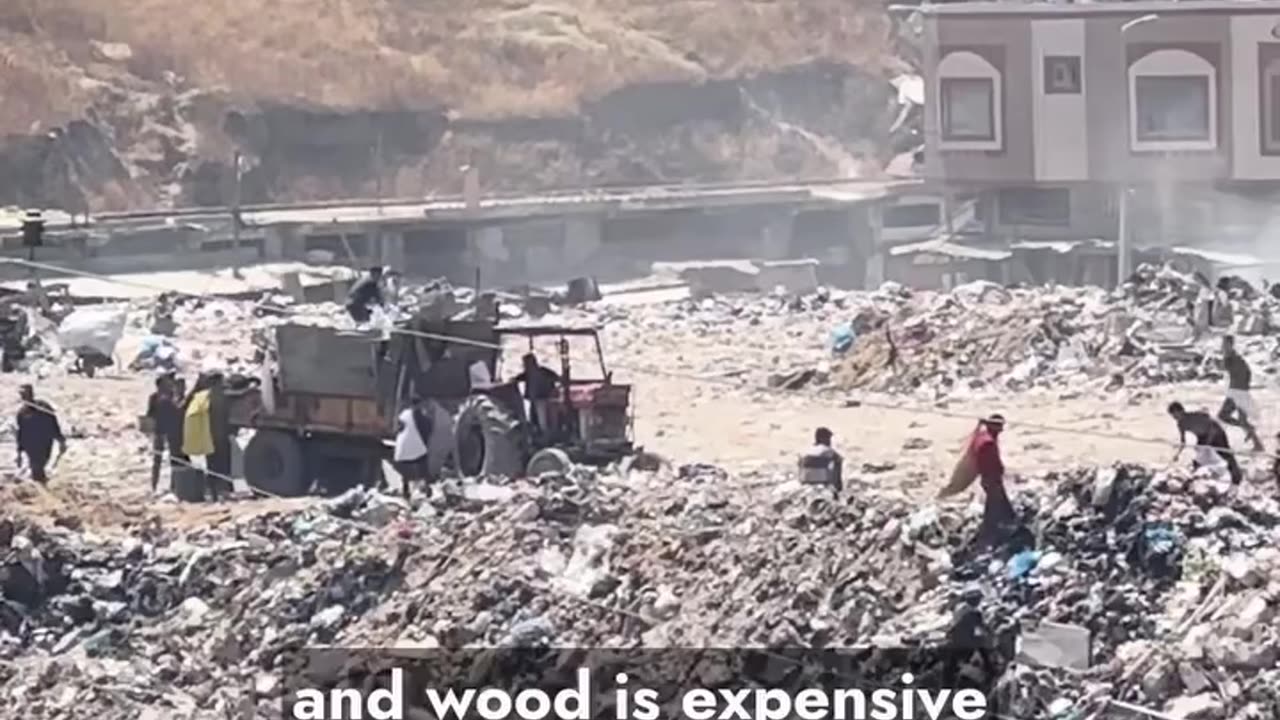 Anything they can burn to cook whatever food they manage to find