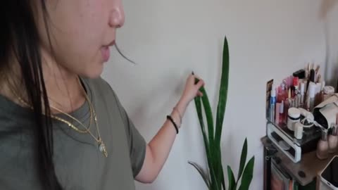 Productive summer days 8
