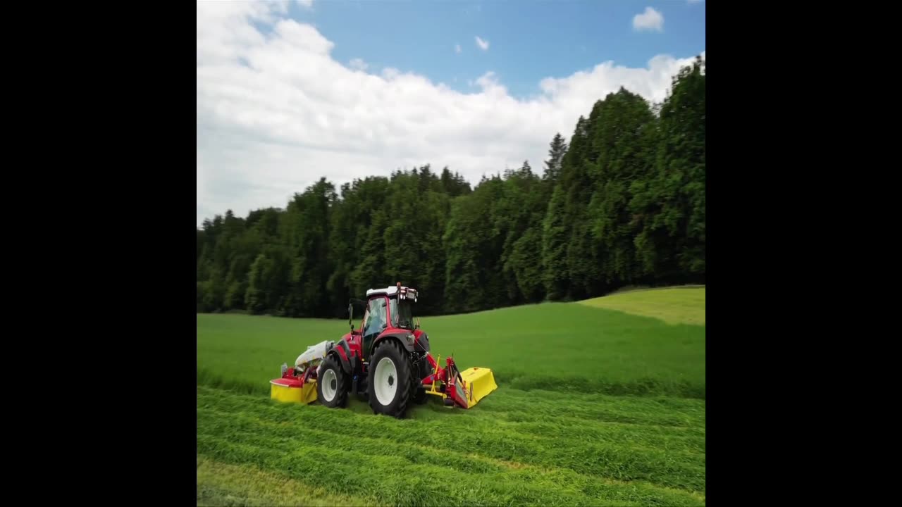 Love, Romance, and Farm-to-Table! Organic Foods!
