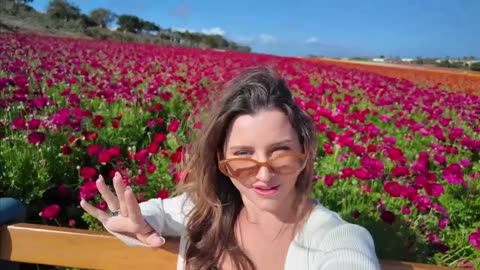 "Bloom Bliss: A Dreamy Day at the Carlsbad Flower Fields"