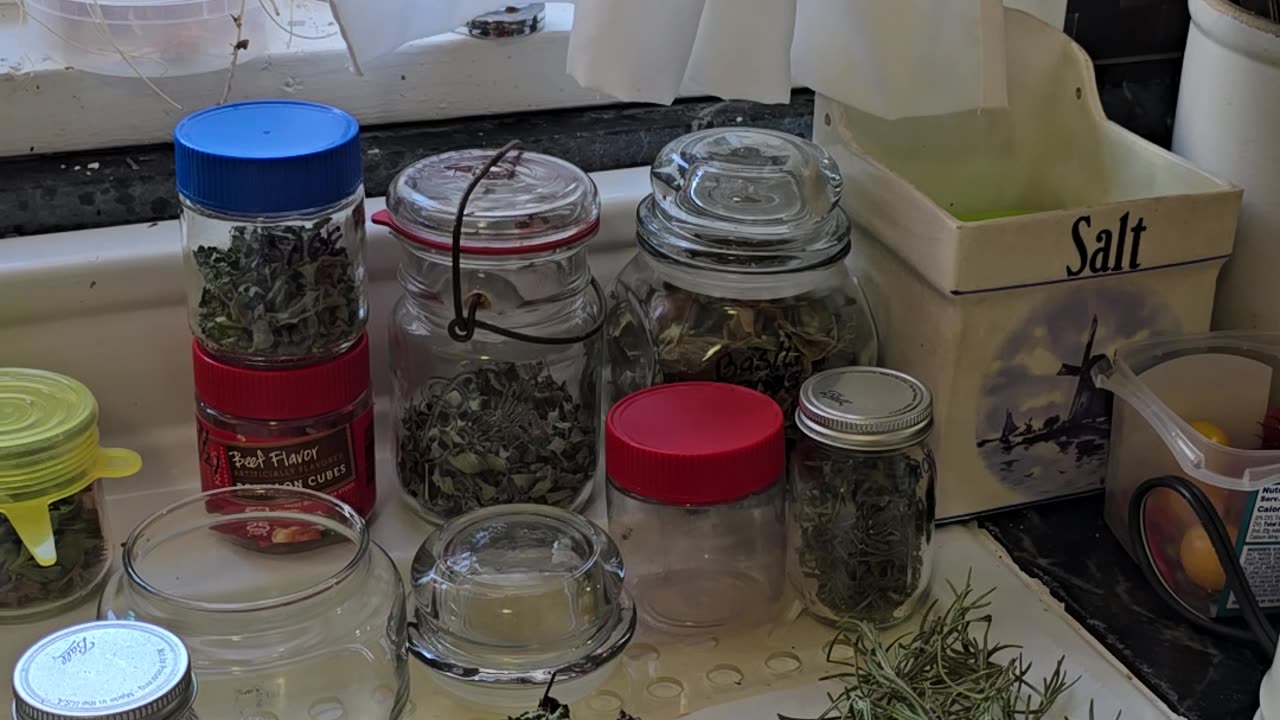 My Dehydrated Herbs! DIY Storage in Upcycled Jars (Rosemary, Sage, Thyme & More!