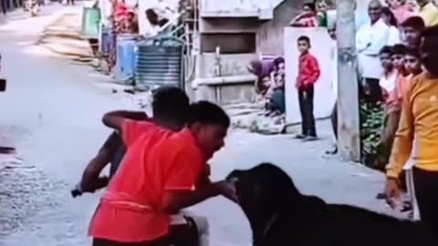 Funny video