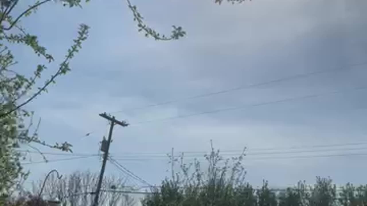 Elle streams on X