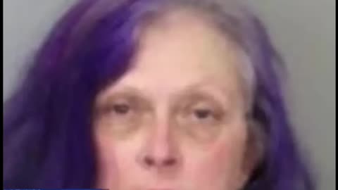 Anti-ICE Protester Charged with Indecent Exposure