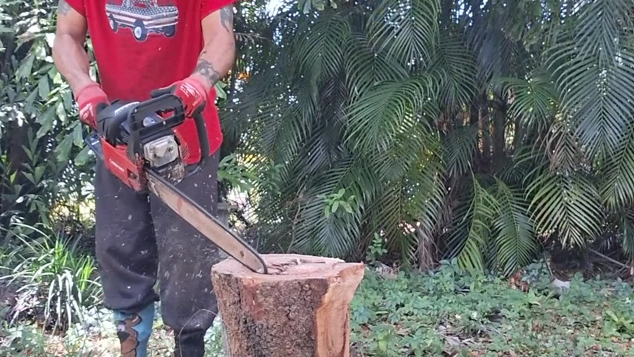 DetroitWoods, the start of "Splash Gordon "