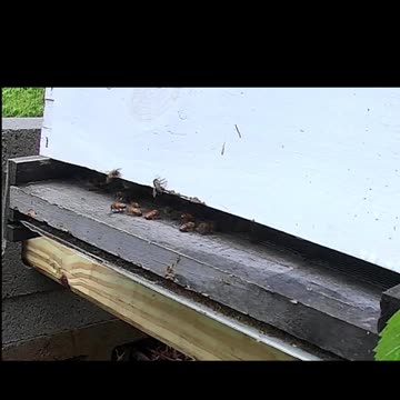 Saturday Morning Sleep In