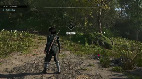 AC Shadows Pt. 3