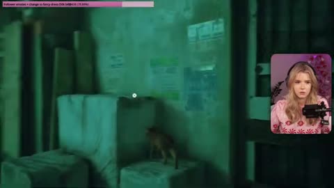 Sessis - CUTEST GAME - Stray [1]