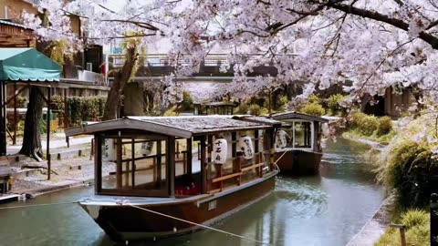 Japan Travel Edit 2025: Tokyo & Kyoto in Stunning HD