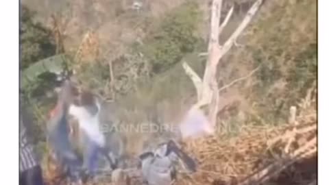 🤣🌲 My Tree Friends Need Me! This is HILARIOUS! | FunFM