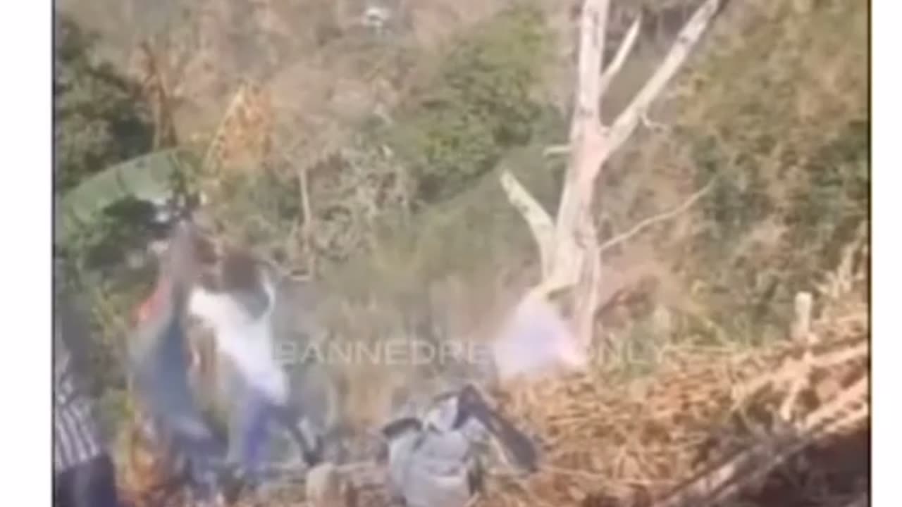 🤣🌲 My Tree Friends Need Me! This is HILARIOUS! | FunFM