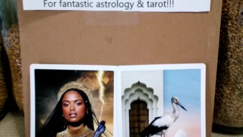 Queendom of Heaven & Precognitive Test 1-13-26