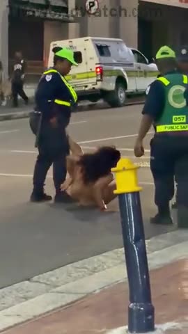 content creator Zamokuhle fighting with police while naked in the street