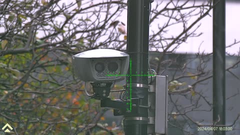 Rothschild BlackRock WEF Power...