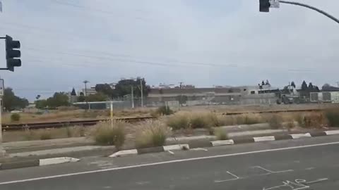 🤣Legally Confused