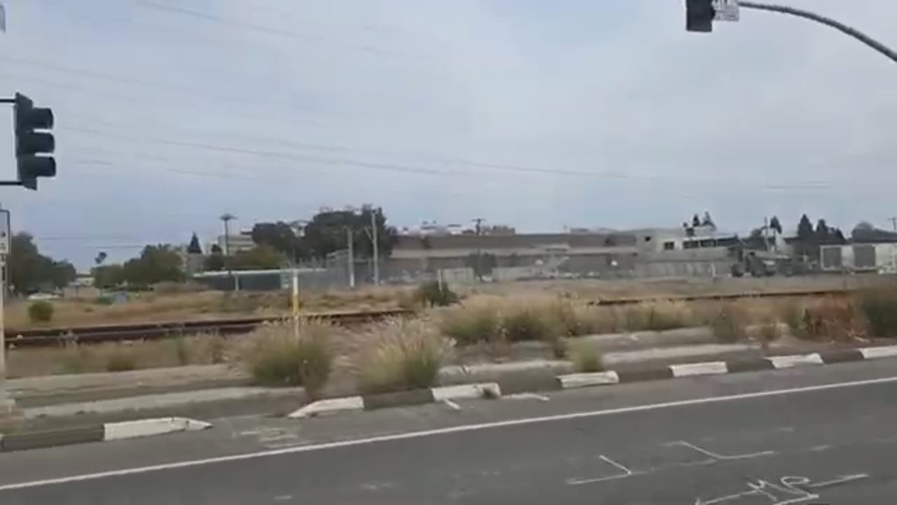 🤣Legally Confused