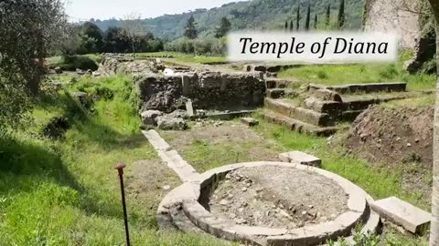 The Origins of Hollywood Will Shock You