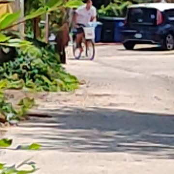 I made Jack a fishin' bike a year ago