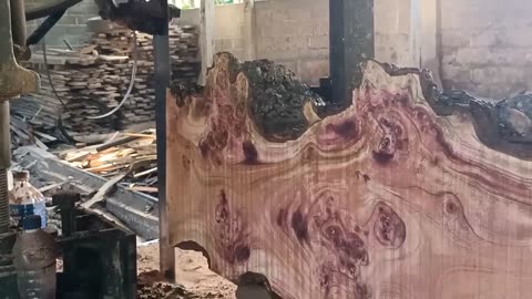 large wood decades old is being processed