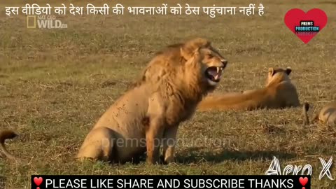 Best funny video😅🤣🤣