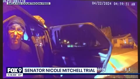 Police bodycam reveals Sen. Nicole Mitchell's burglary arrest