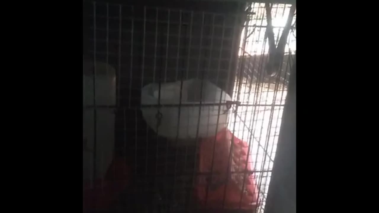 Unreciprocated Desire