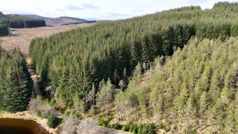 Loch Kennard Griffin forest Perth and Kinross Scotland