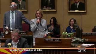 Sen. Wendy Rogers Explains Vote for SB1591 to End Concealed Carry Fees