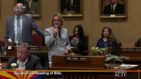 Sen. Wendy Rogers Explains Vote for SB1591 to End Concealed Carry Fees