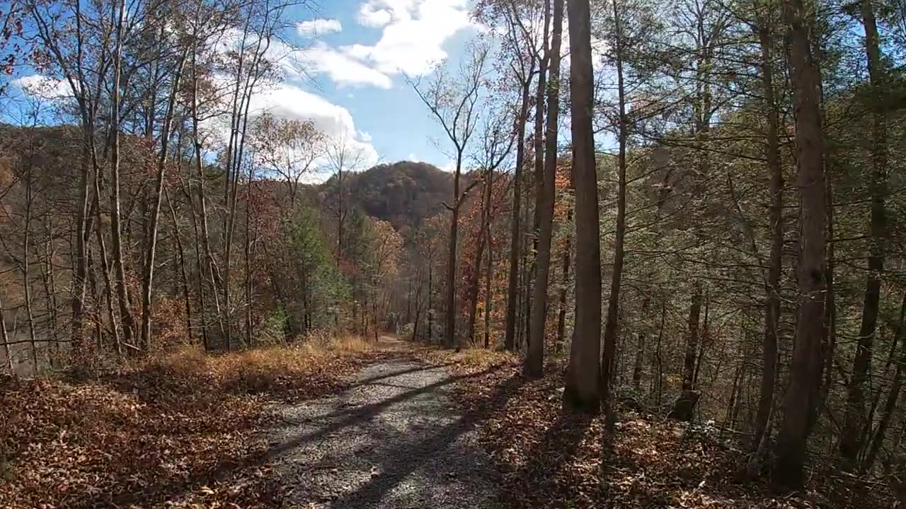 Cranesnest River Trail