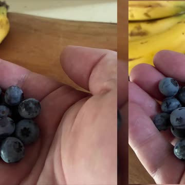 Yummy Blueberries 🫐 Picked at Jaya