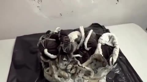 Growing Magic Mushroom at Home