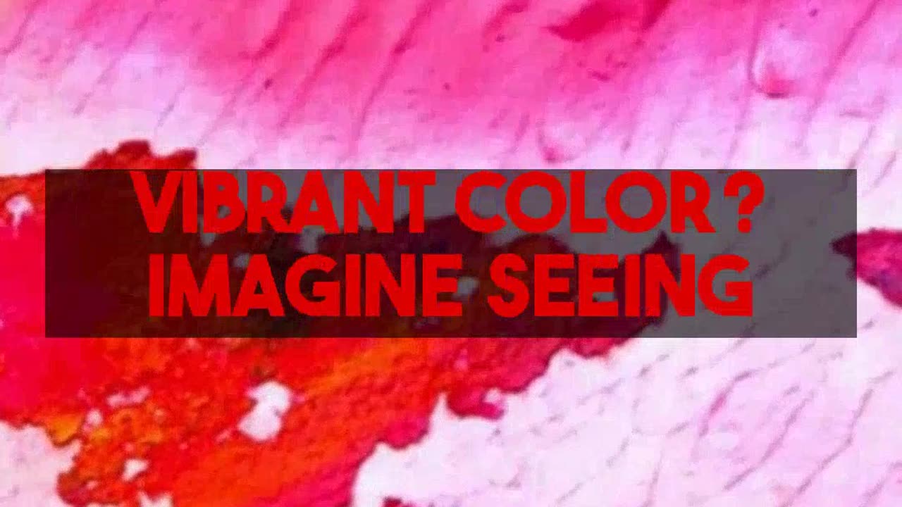 Revive old photos! Master colorization fast with colorizethis.io crash courses.