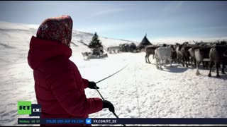 RT DE LIVE-TV