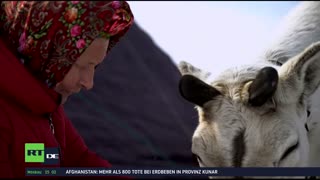 RT DE LIVE-TV