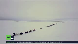 RT DE LIVE-TV