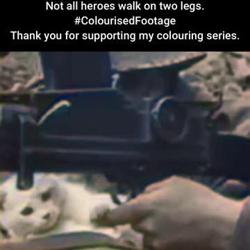 WWII British Soldier and Cat Frontline Companions #WWIIColourised