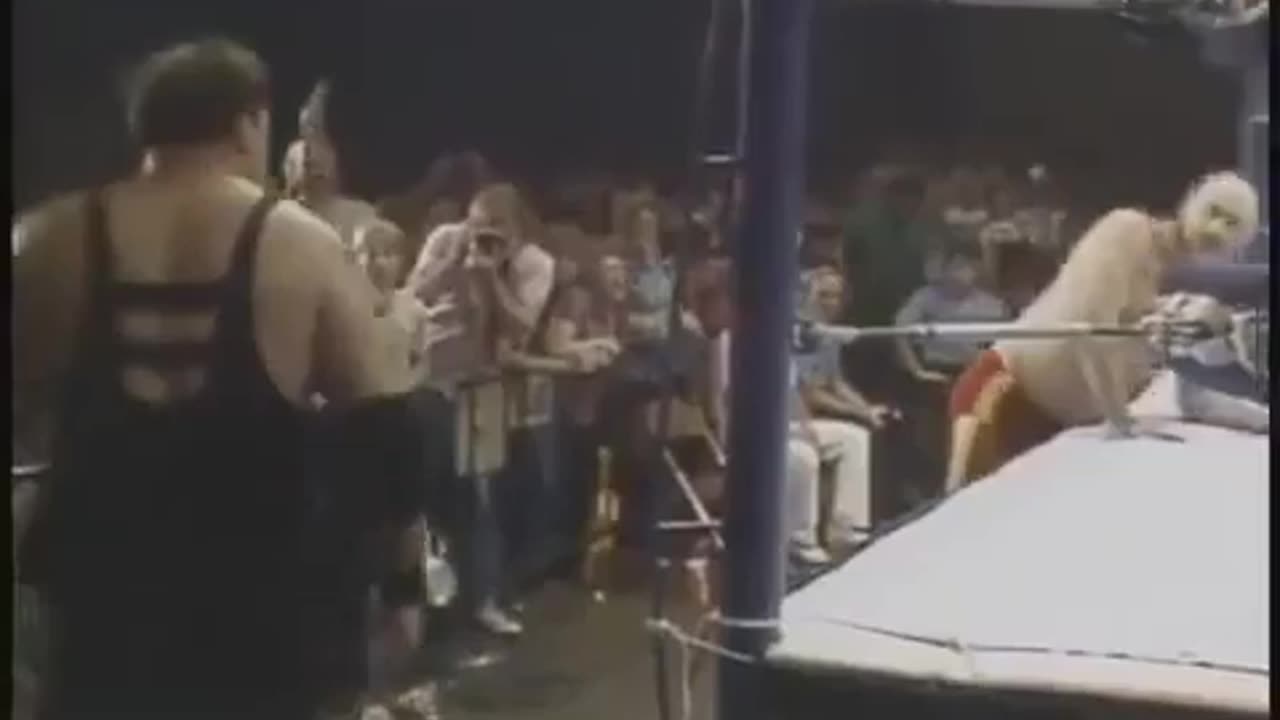 WWF Kiel Auditorium, St. Louis, MI Sep 01 1984 **NOT ON PEACOCK**