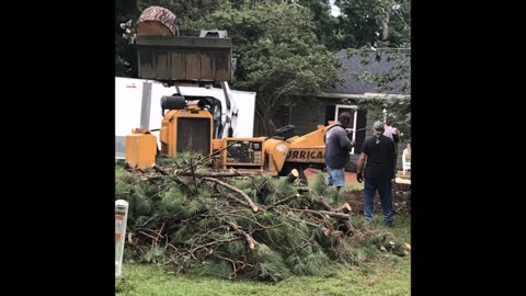 Affordable Tree Services by Tony