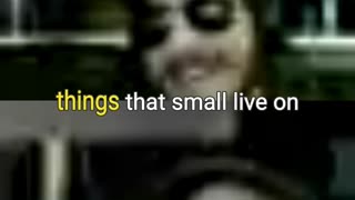 Breathe Easy: The Doctor Who Wibbly Wobbly Science Behind Enlarged Characters #doctorwho #classicwho