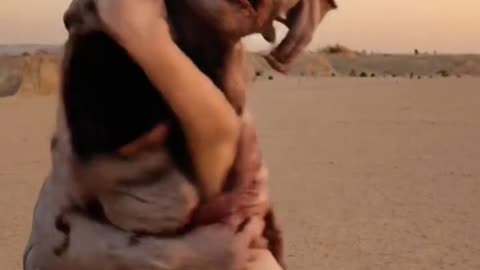 Cling Reflex: Desperate Attachment to Perceived Stability