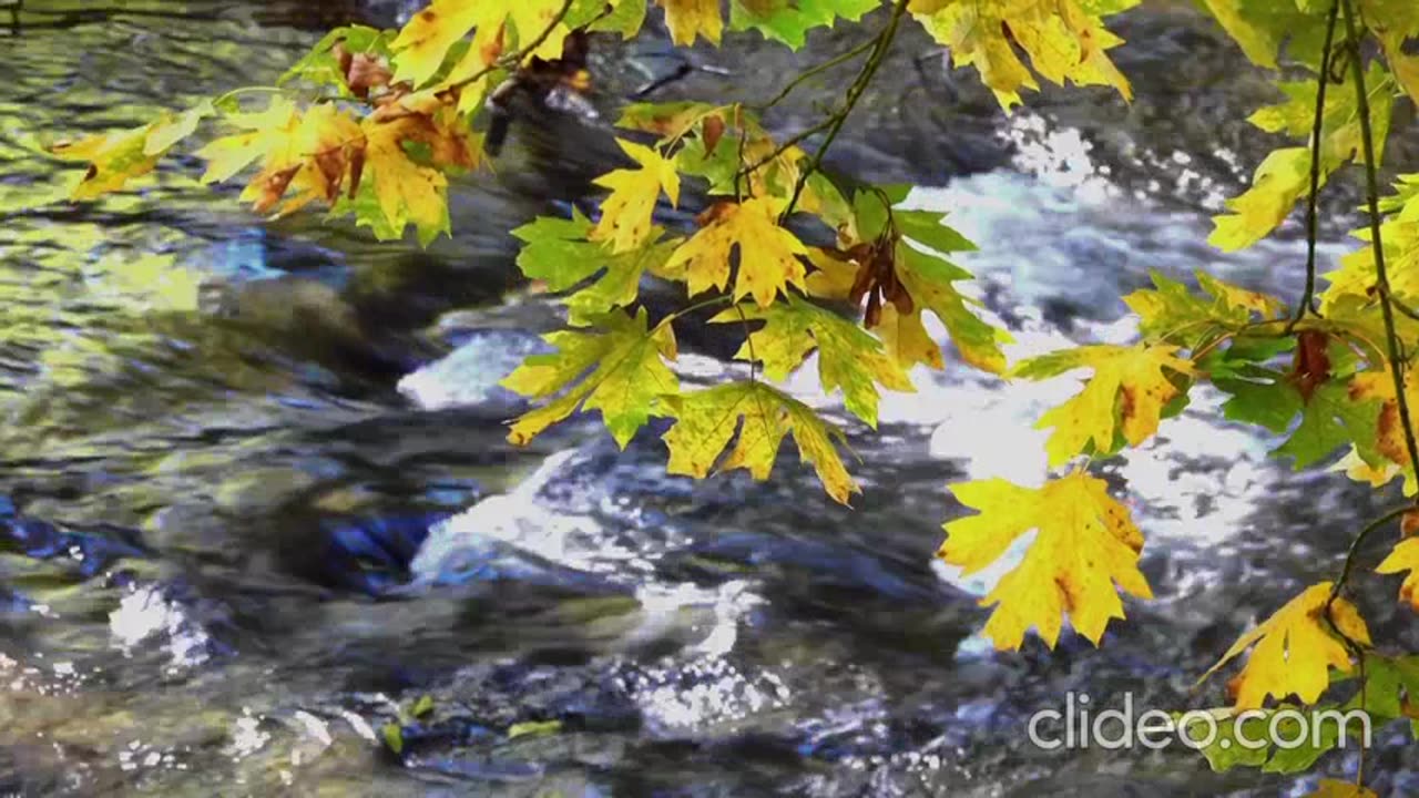 filme e desenhos animados 25