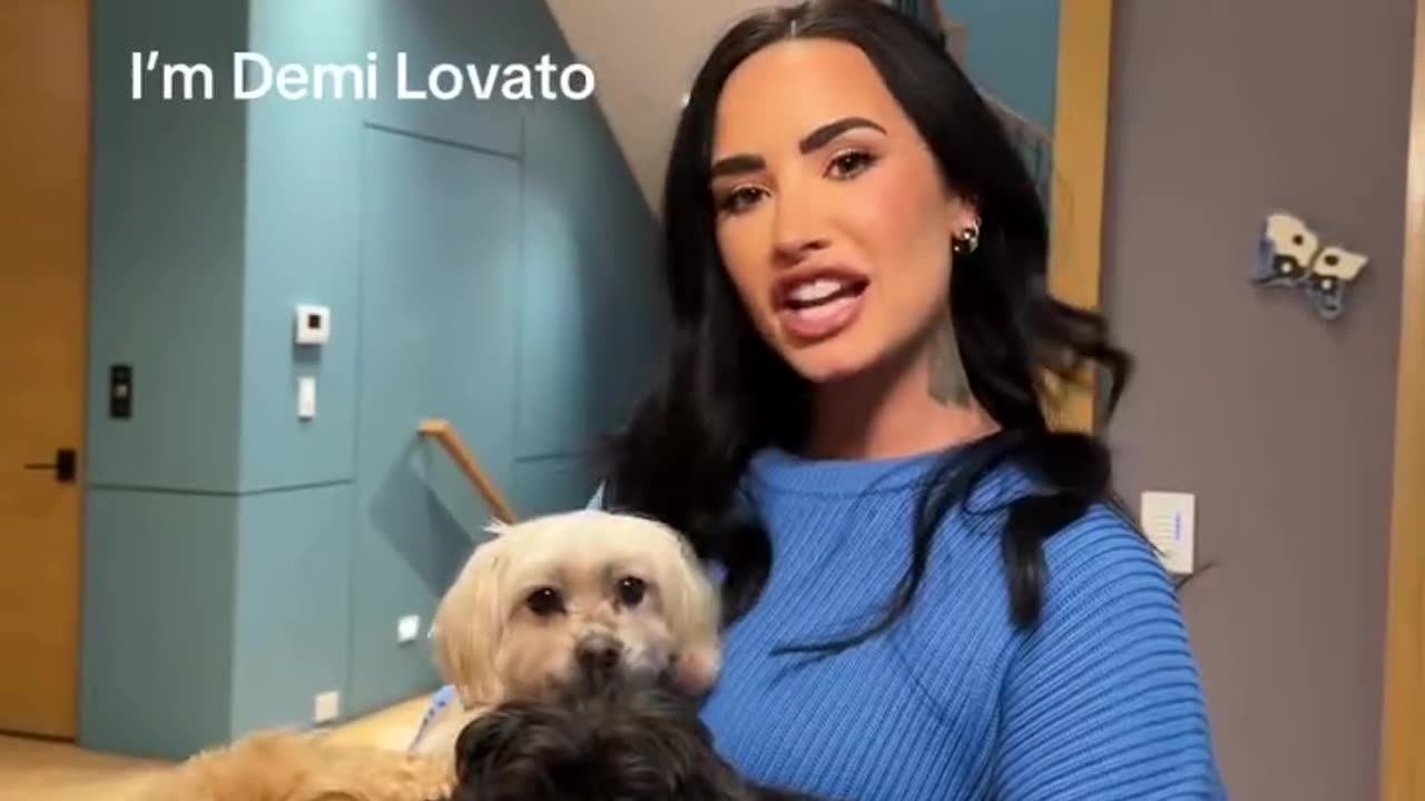 hi