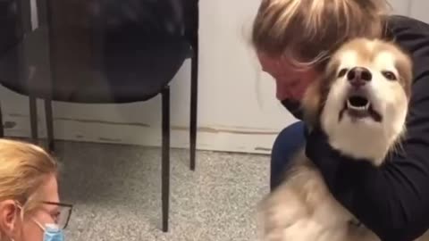 Vet Visits